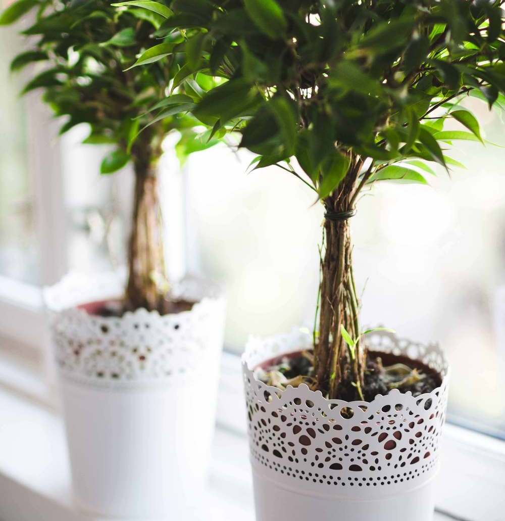 &nbsp;DECORACIÓN DE OFICINAS